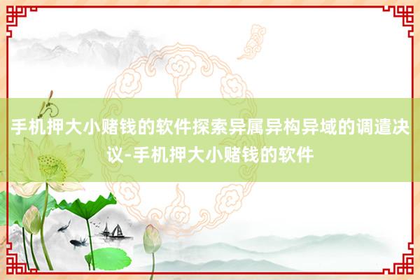 手机押大小赌钱的软件探索异属异构异域的调遣决议-手机押大小赌钱的软件