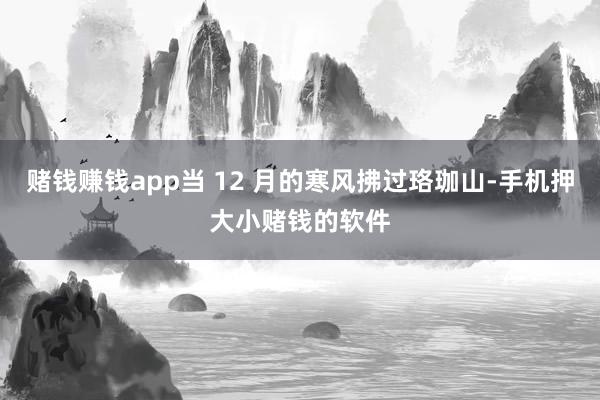 赌钱赚钱app当 12 月的寒风拂过珞珈山-手机押大小赌钱的软件